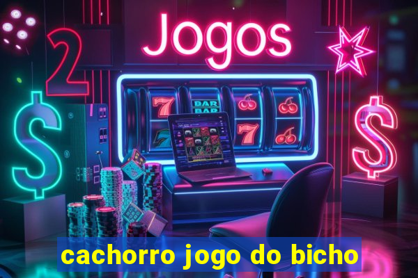 cachorro jogo do bicho